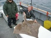 More skate for charter boat anglers out of Union Hall skate
