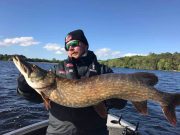 Big Lough Derg pike