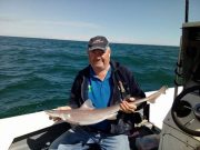 Smooth seas, smooth fishing at Wicklow smoothie