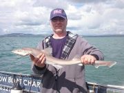 Irish Smooth Hound Championships this weekend – sign up now! Smoothhound