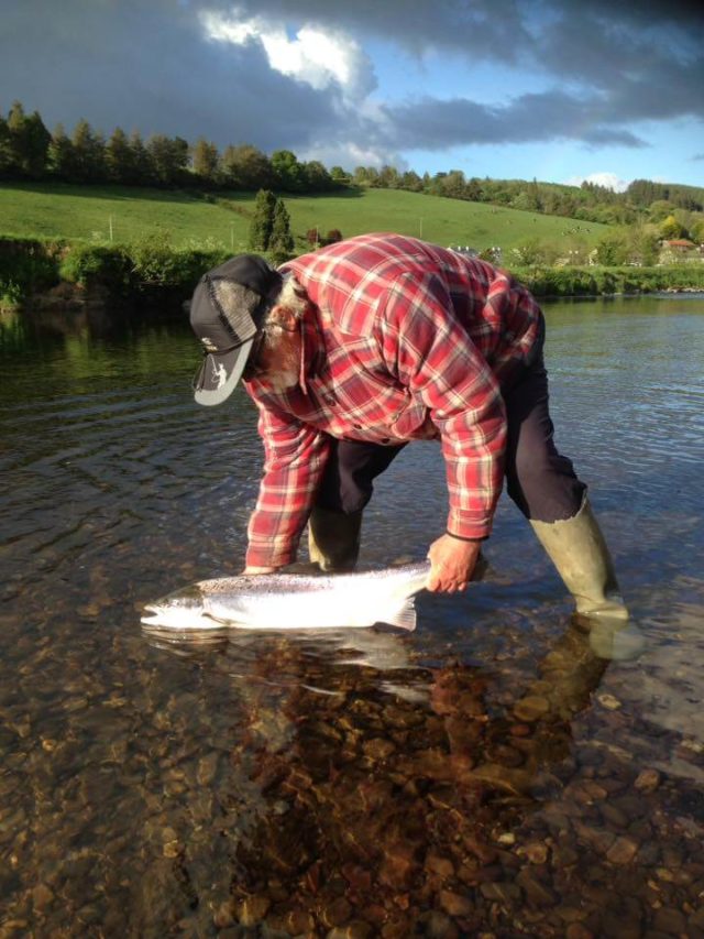 Connie releasing his salmon