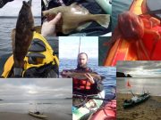 A selection of species