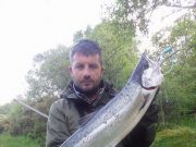 On Saturday, Julian Ciconte reported an 8lb salmon caught on a spinner from Corry
