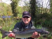 Very little water and very little fishing on the Drowes salmon