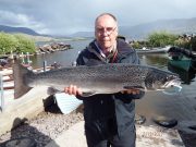 A few sea trout and some good salmon from Currane There is no argument to that, a 14 1/2 lbs Salmon and a 9 lbs Salmon