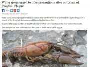 Water users urged to take precautions after outbreak of Crayfish Plague, Irish Examiner Water users urged to take precautions after outbreak of Crayfish Plague
