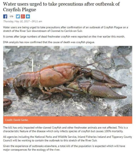 Water users urged to take precautions after outbreak of Crayfish Plague