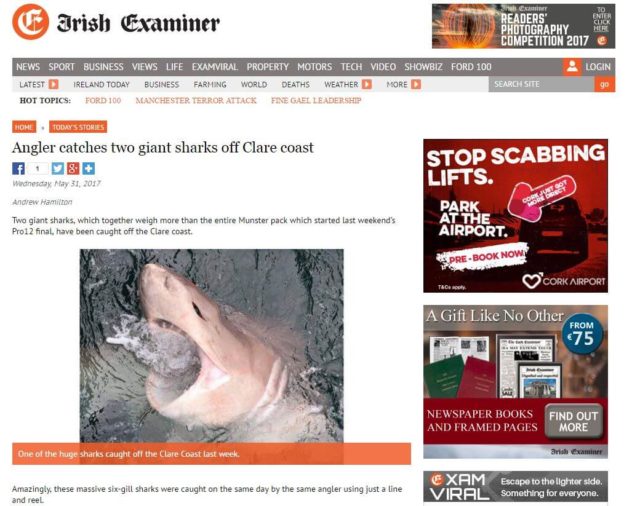 Angler catches two giant sharks off Clare coast