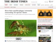 River Suir crayfish plague ‘extremely concerning’ for species’ future, Irish Times River Suir crayfish plague ‘extremely concerning’ for species’ future