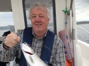 Good start to the sea trout season on the Moy Estuary