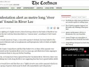 Infestation alert as metre long 'river rat' found in River Lee