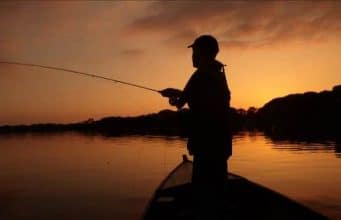 Irish angling Update 01 June 2016 ‘Into the night’ dusk & darkness were the best times to fish Sheelin for this week