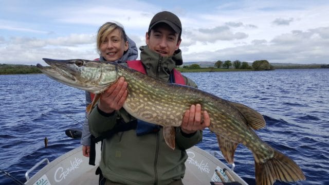 103cm pike - not yet spawned