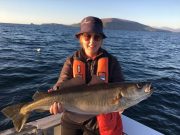 Good boat fishing for Kerry sea anglers Caroline with a smashing pollack