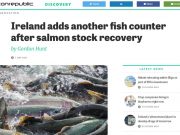 Ireland adds another fish counter after salmon stock recovery