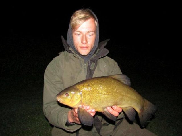Tench