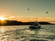 Irish Angling Update – 22 June 2016