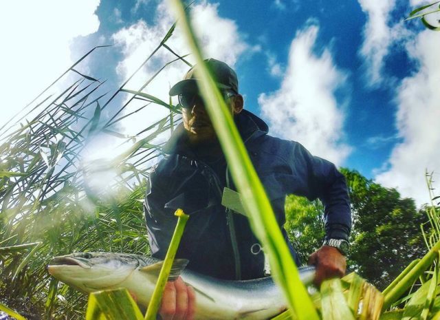 A lovely fish Jason Nashon Sunday estimated to weigh 14lb