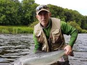 salmon