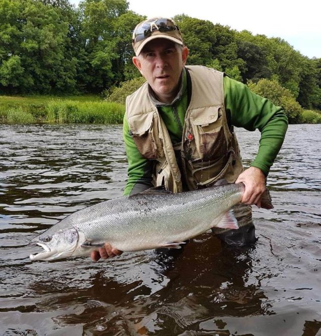 salmon