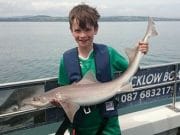 Brilliant fishing in brilliant weather off Wicklow Spurdog