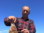 Fine weather and fine fishing for Clare charter boats Megrim