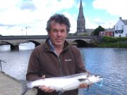 Bumper week on the Moy with over 600 salmon caught!