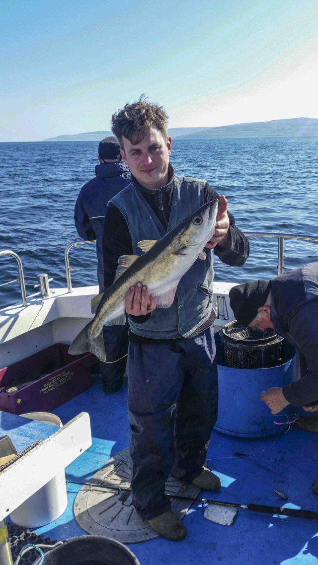 A nice pollack aboard the Brazen Hussy II skippered by John Fleming