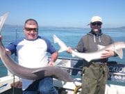 Kit leads anglers to the Fishing Wonders of Wicklow A double catch of Tope for the Kingfishers Beile Feirste Boys