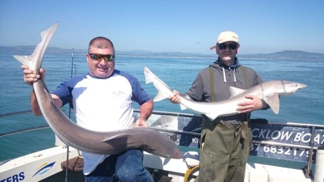 A double catch of Tope for the Kingfishers Beile Feirste Boys