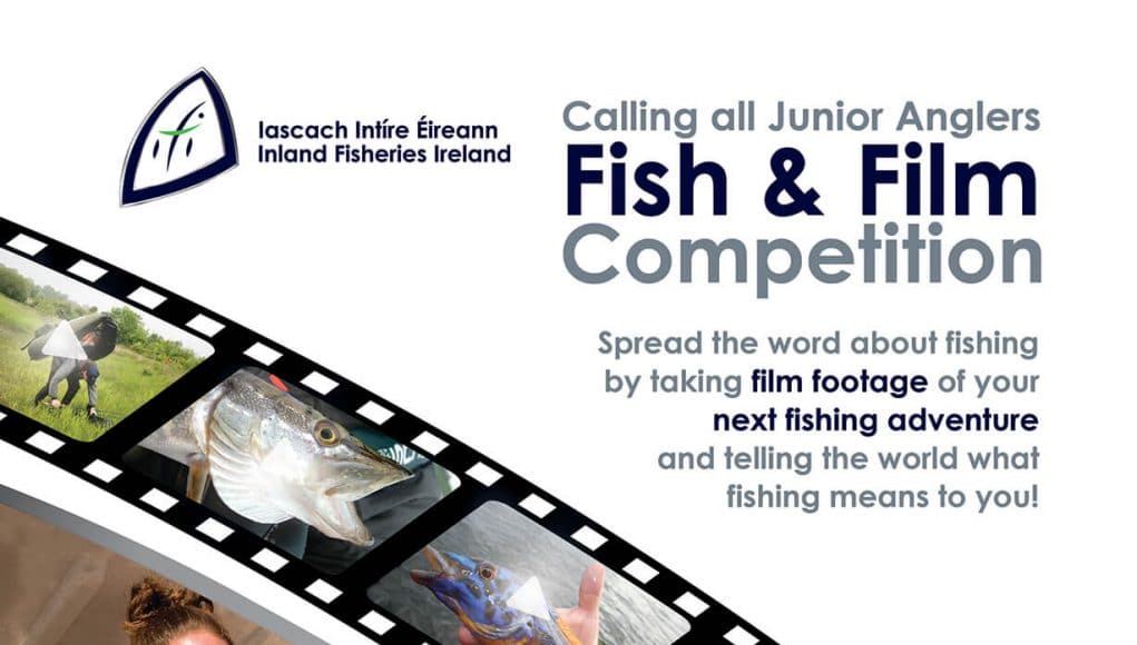 Fish & Film Competition Poster