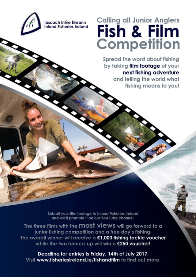 Fish & Film Competition Poster