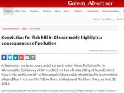 Conviction for fish kill in Glenamaddy highlights consequences of pollution, Galway Advertiser Conviction for fish kill in Glenamaddy highlights consequences of pollution