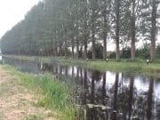 Tullamore and District Angling Club get ready for junior league The Grand Canal in Whitehall, Tullamore, looking well after peg clearance for the junior league.
