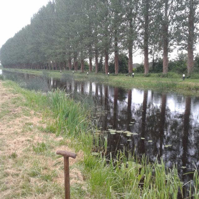 The Grand Canal in Whitehall, Tullamore, looking well after peg clearance for the junior league.