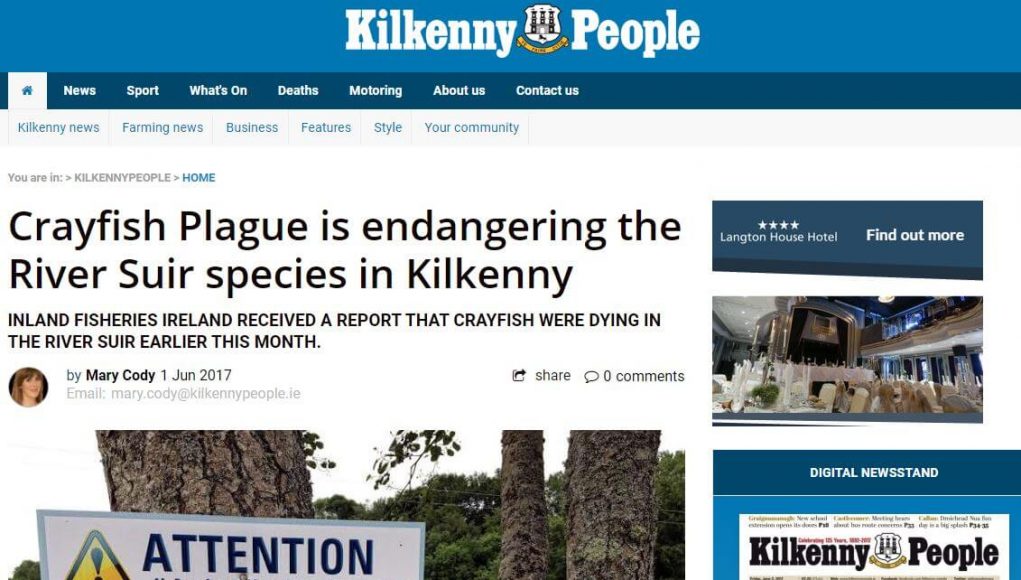 Crayfish Plague is endangering the River Suir species in Kilkenny