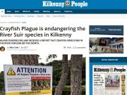 Crayfish Plague is endangering the River Suir species in Kilkenny, Kilkenny People Crayfish Plague is endangering the River Suir species in Kilkenny