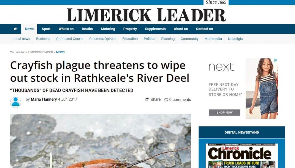 Limerick Leader - 040617 Crayfish plague threatens to wipe out stock in Rathkeale's River Deel “THOUSANDS” OF DEAD CRAYFISH HAVE BEEN DETECTED