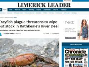 Crayfish plague threatens to wipe out stock in Rathkeale's River Deel, Limerick Leader Crayfish plague threatens to wipe out stock in Rathkeale's River Deel “THOUSANDS” OF DEAD CRAYFISH HAVE BEEN DETECTED