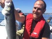 Good bass and pollack on fly around Cork Harbour bass