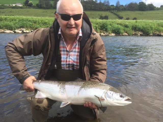 salmon