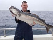 Great wreck fishing reported from kinsalecharters.com Coalfish