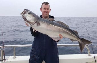 Coalfish