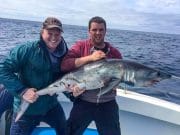 An impressive looking porbeagle shark of approx. 80lbs caught aboard the Brazen Hussy by angler Mikey Heaney