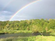 The Dream of Discovering Ireland, A French Anglers' Tale