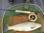 Tough conditions poor hatches on Corrib last week trout