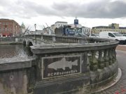 #CPRsavesfish – what's it all about? Spotted on St Patrick's Bridge in Cork, a #CPRsavesfish stencil