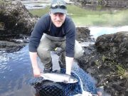27 grilse from the Erriff last week Joe Thompson wild grilse 4.5lbs picture before being released