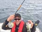 Pollack fly fishing on fire at Cork Harbour Pollack