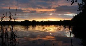 Lough Sheelin's Golden Hour